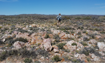 Aldebaran reorganiza su portafolio en el norte argentino y crea SpinCo